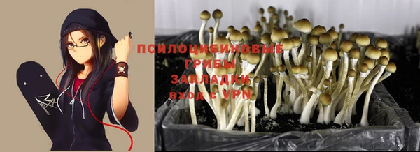 кокаин колумбия Алексин