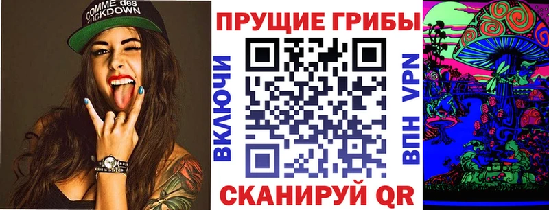 дарнет шоп  Комсомольск  Псилоцибиновые грибы прущие грибы 